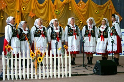 Zdjęcie