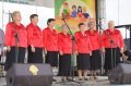 Zespół "Dzikowianie" ze Starego Dzikowa