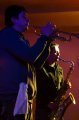 Daktari, zdj. Jacek Dubiel