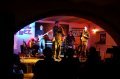 Daktari, zdj. Jacek Dubiel