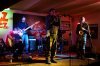 Daktari, zdj. Jacek Dubiel