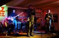 Daktari, zdj. Jacek Dubiel